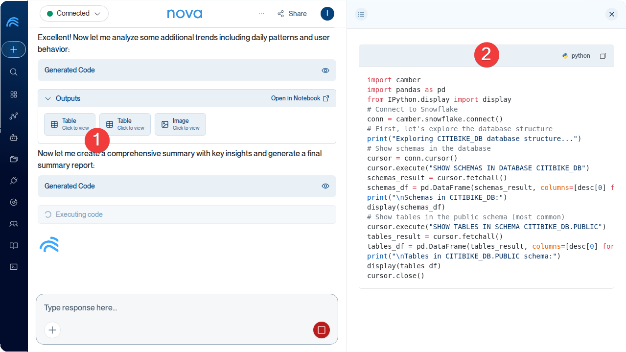 Nova analysis showing multiple outputs and artifact viewer dialog