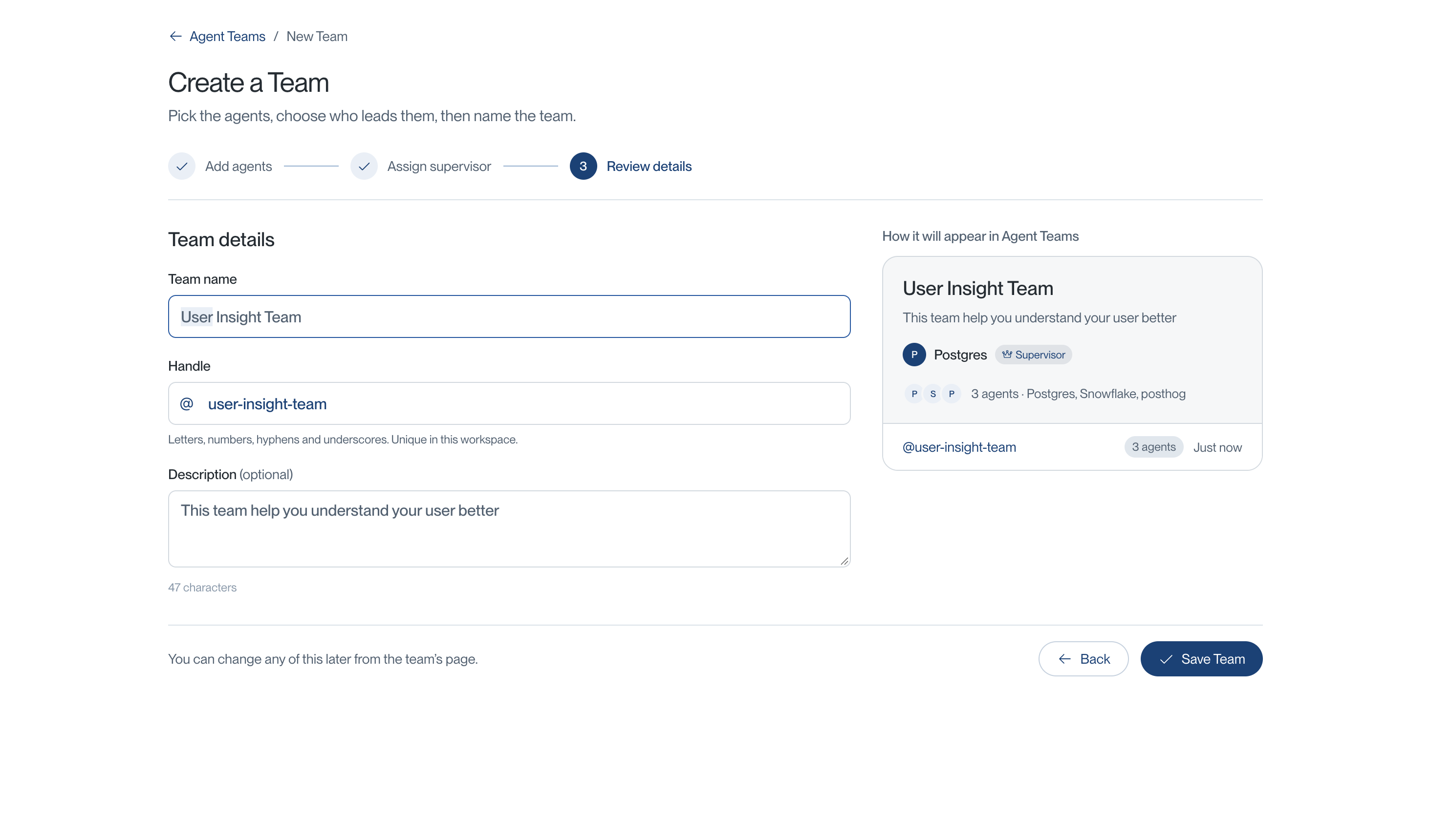 Review details step showing the team name, handle, description, and preview