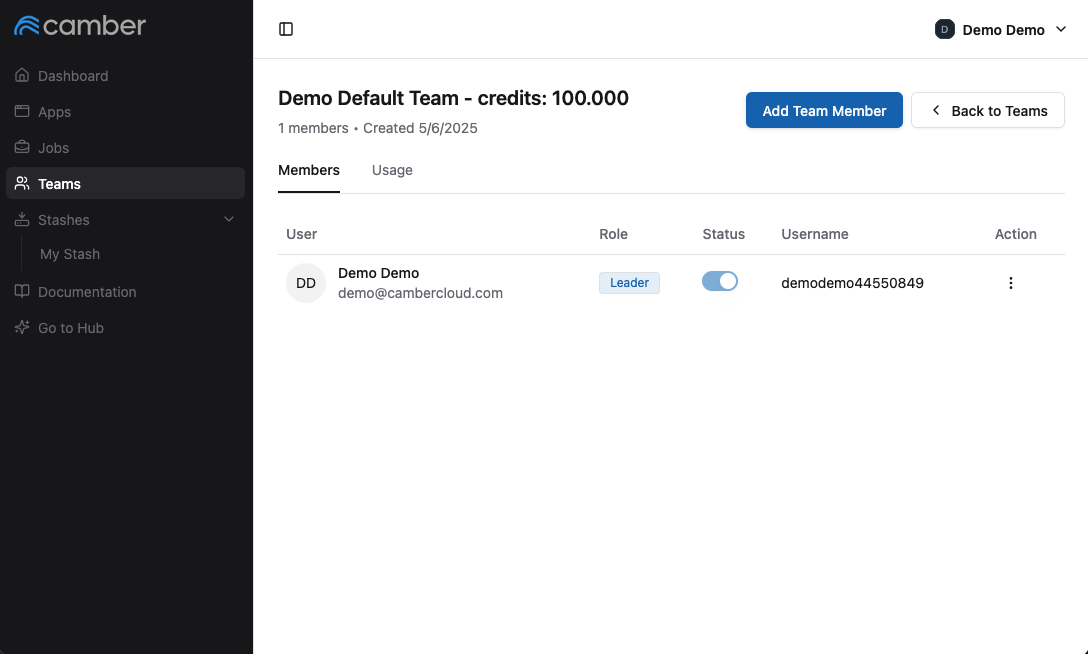 Team User Interface - Default View