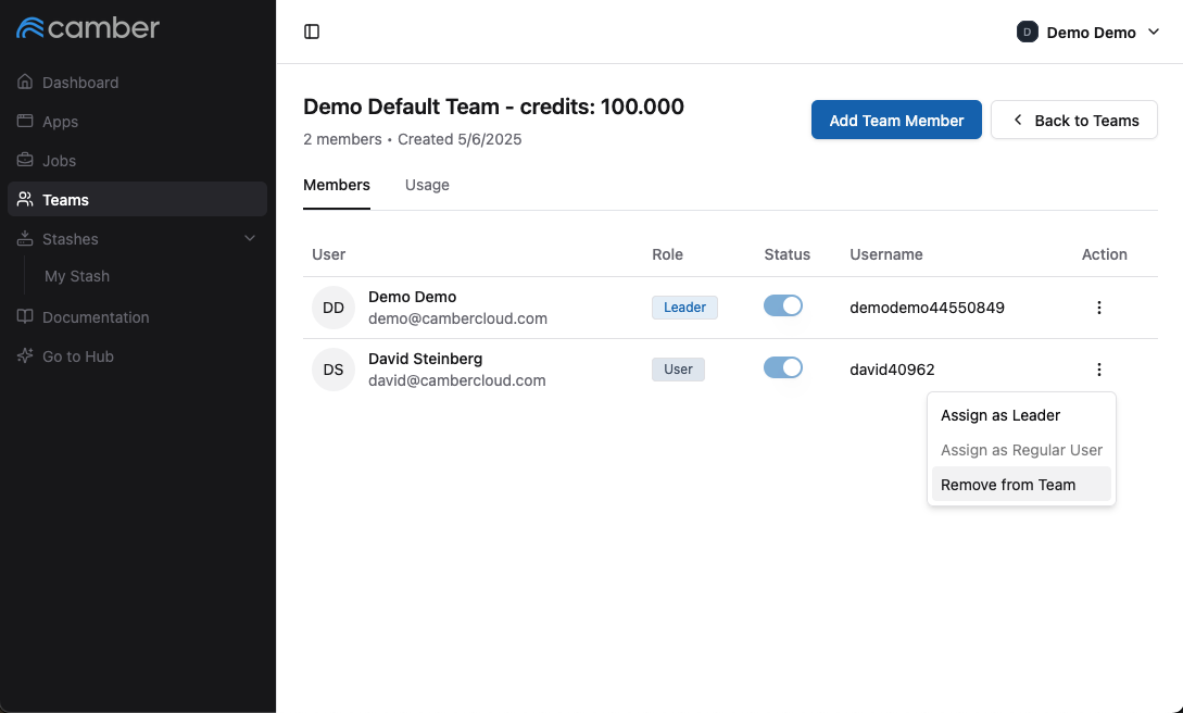 Team - Change role